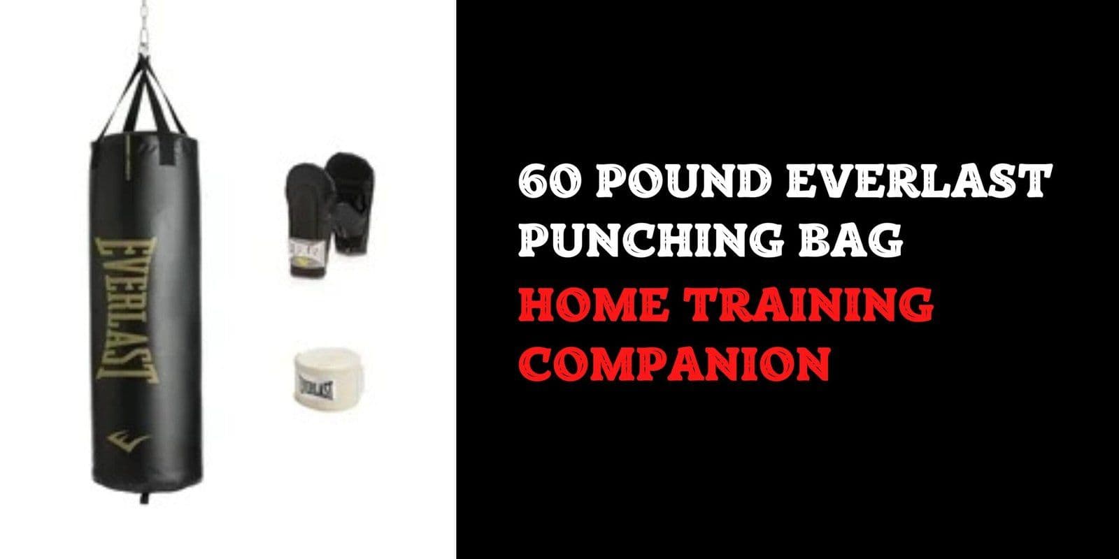 60 Pound Everlast Punching Bag Home Training Companion