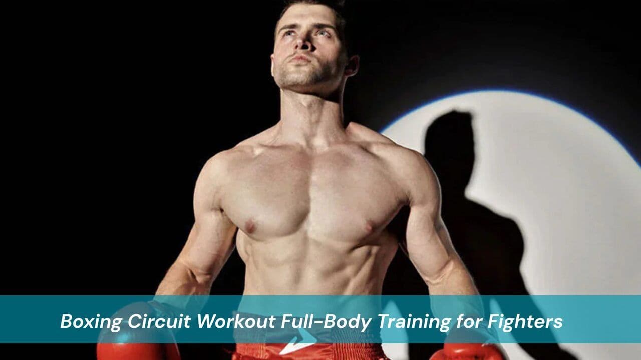 Boxing Circuit Workout Full-Body Training for Fighters