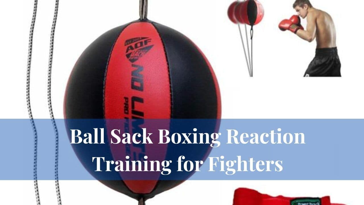 Ball Sack Boxing Reaction Training for Fighters