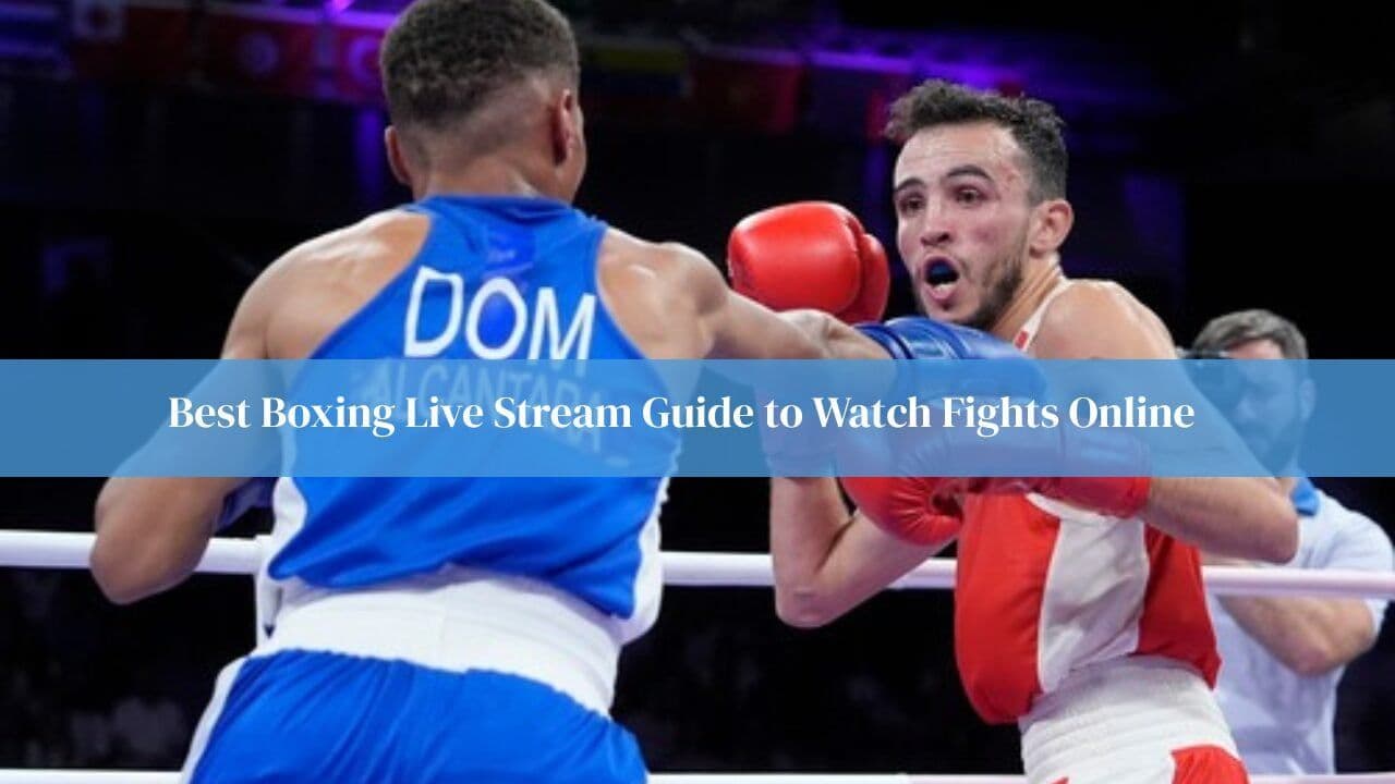 Best Boxing Live Stream Guide to Watch Fights Online
