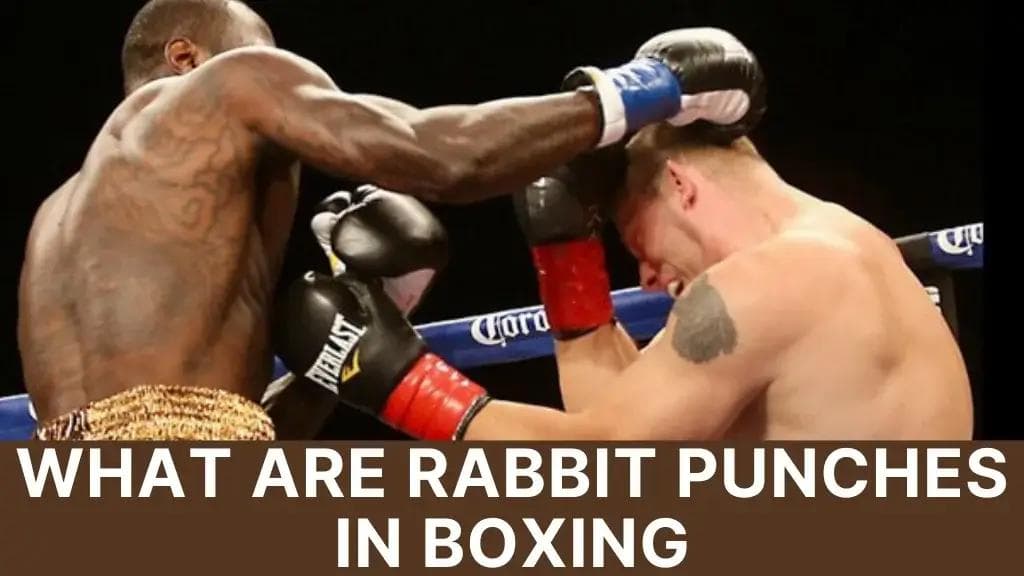 Understanding Rabbit Punches in Boxing
