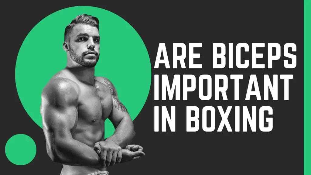 does bicep increase punching power?