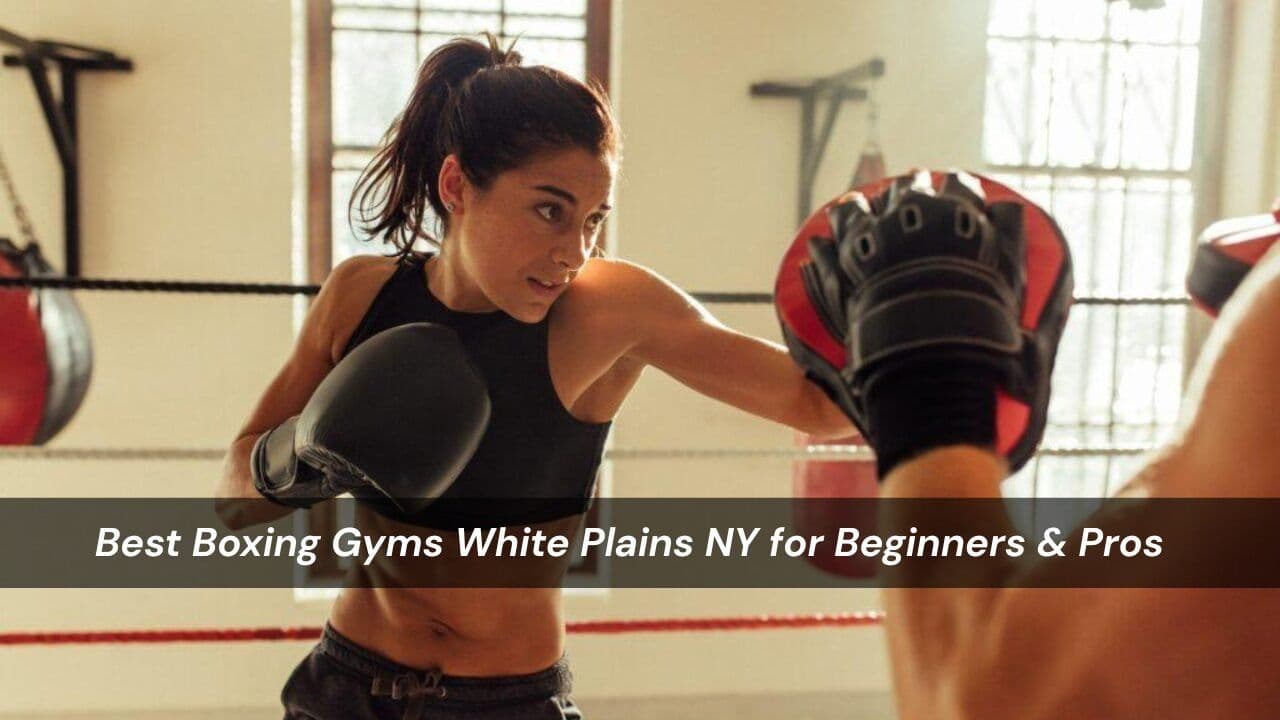 Best Boxing Gyms White Plains NY for Beginners & Pros