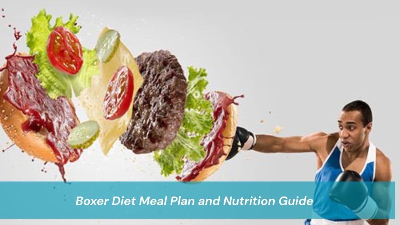 Boxer Diet Meal Plan and Nutrition Guide