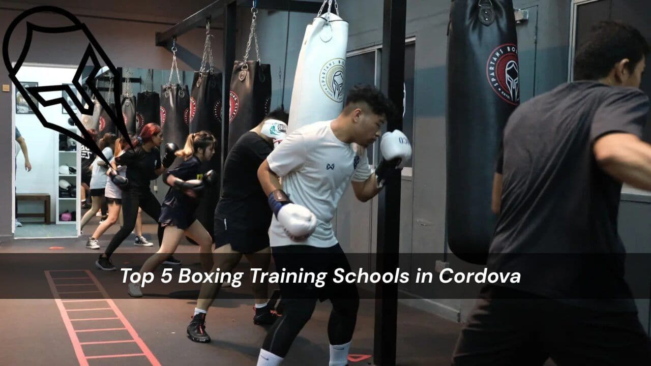 Top 5 Boxing Training Schools in Cordova