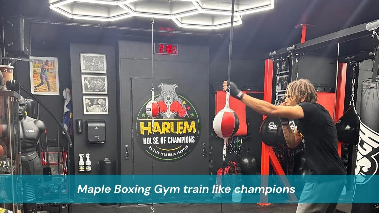 Maple Boxing Gym train like champions