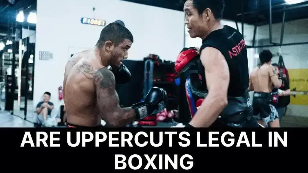 Are Uppercuts Legal in Boxing A Comprehensive Guide