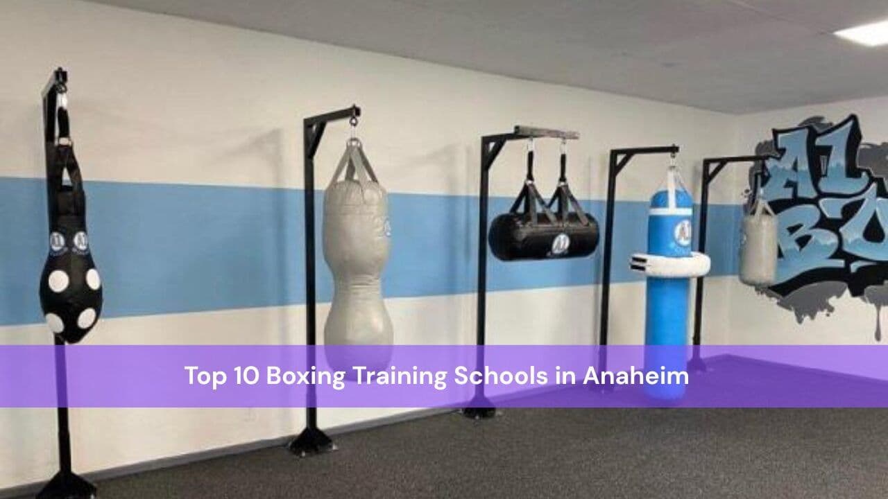 Top 10 Boxing Training Schools in Anaheim