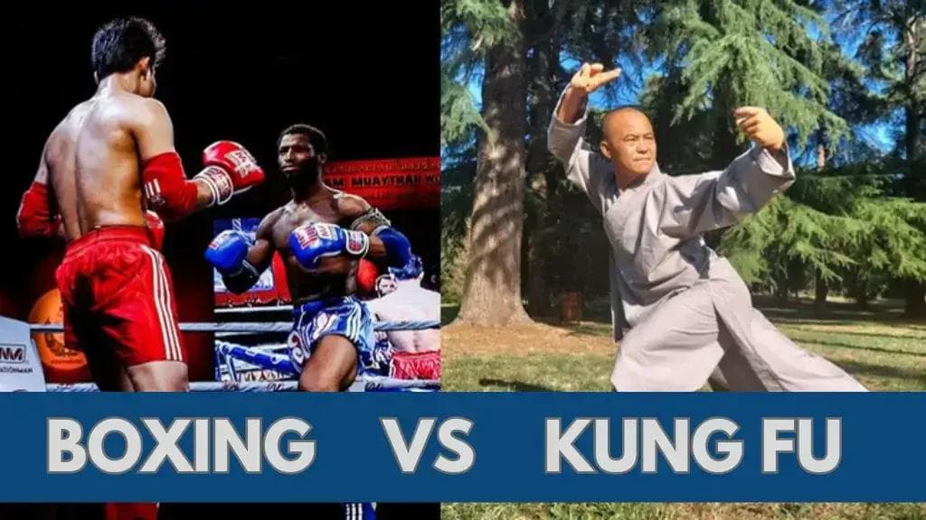 Boxing vs Wing Chun – A Comparative Guide