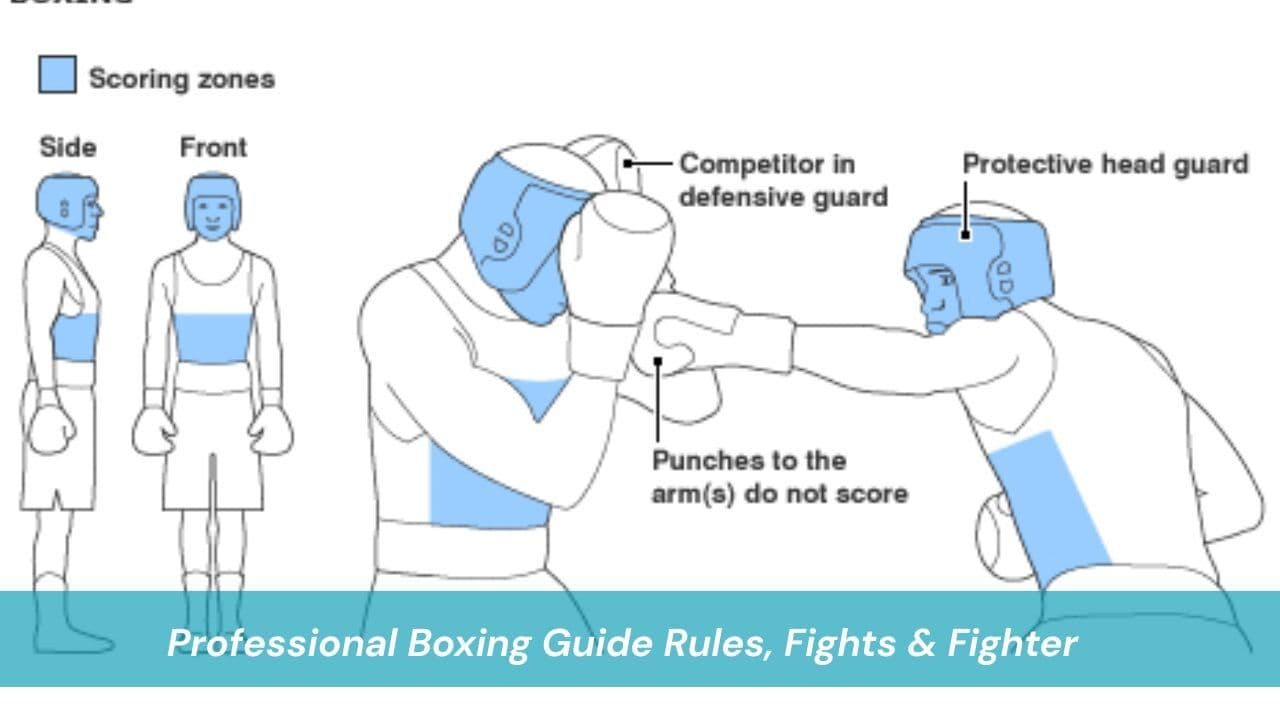 Professional Boxing Guide Rules, Fights & Fighter