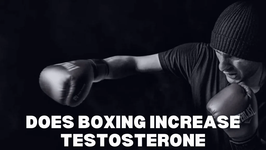 does boxing increase testosterone