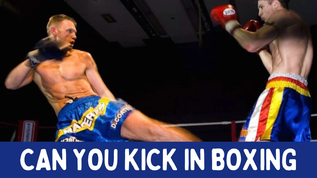 can you kick in boxing