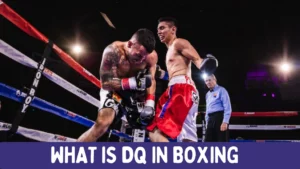 What is DQ in Boxing